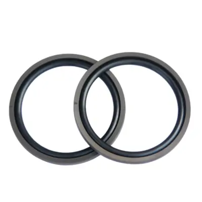 The Principles and Applications of SPGO Seals(pic1)