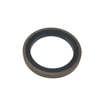 Introduction and Applications of SPG Bidirectional Seals(pic1)