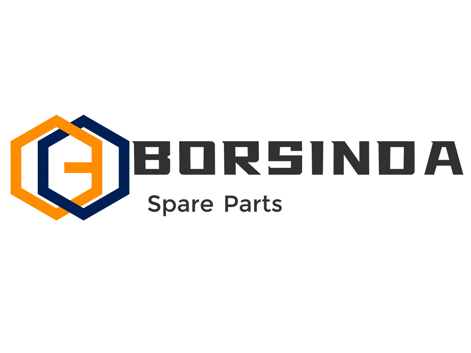 BORSINDA